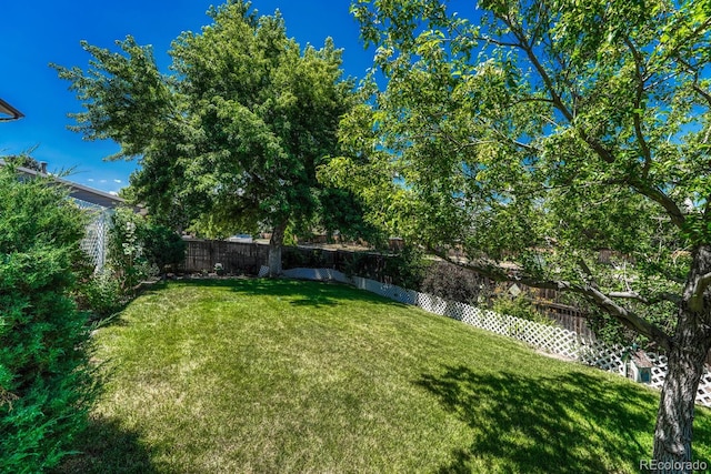 3317 S Elkhart St, Aurora, CO 80014 - view of fenced backyard