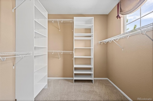 23580 E Portland Way, Aurora, CO 80016 - spacious closet featuring carpet floors