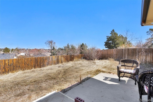 view of yard featuring a patio and a fenced backyard