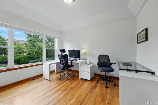 3 Desert Inn Way, Colorado Springs, CO 80921 - home office featuring light wood-type flooring and baseboards