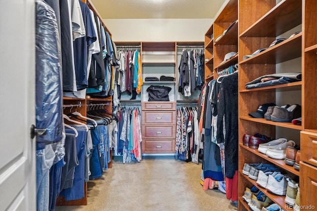 8526 E 35th Ave, Denver, CO 80238 - view of walk in closet
