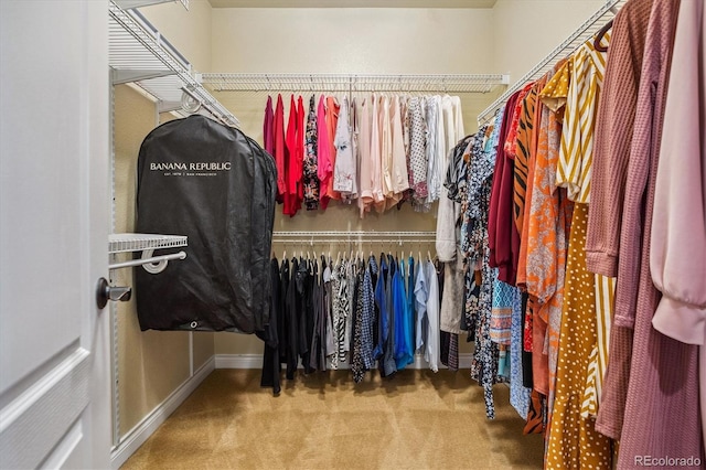 8526 E 35th Ave, Denver, CO 80238 - walk in closet with carpet flooring