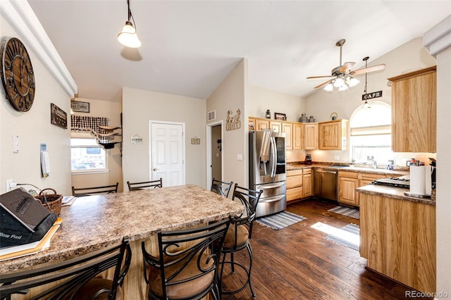 kitchen with appliances with stainless steel finishes, dark hardwood / wood-style floors, lofted ceiling, ceiling fan, and light brown cabinets