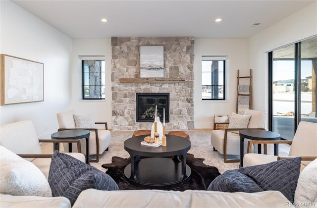 living room with a fireplace and wood-type flooring