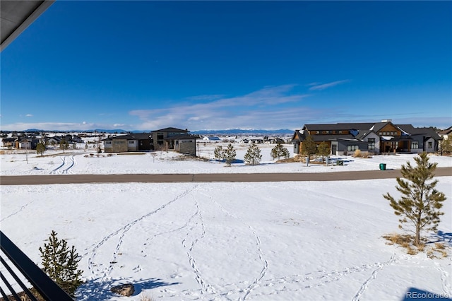 view of yard covered in snow