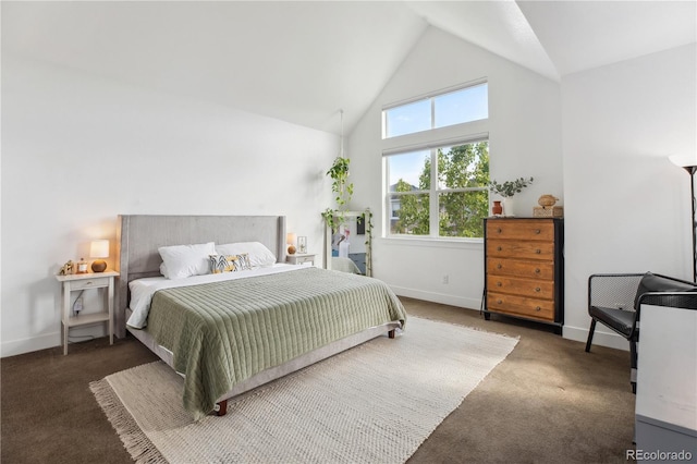 10165 E 59th Ave, Denver, CO 80238 - bedroom featuring carpet, baseboards, and high vaulted ceiling
