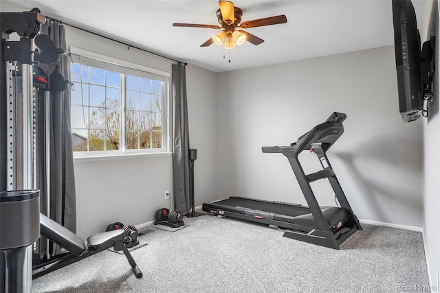 6464 Elsinore Dr, Colorado Springs, CO 80923 - workout area featuring carpet flooring, baseboards, and a ceiling fan