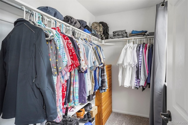 6464 Elsinore Dr, Colorado Springs, CO 80923 - spacious closet with carpet