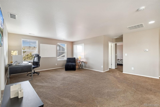 42311 Forest Oaks Dr, Elizabeth, CO 80107 - office space featuring carpet floors