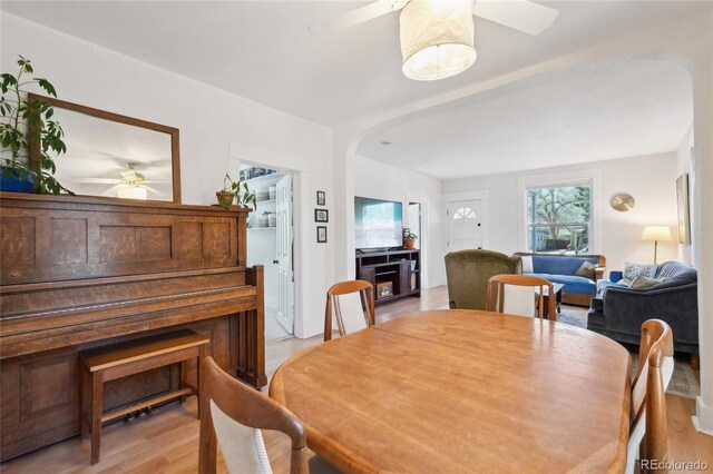422 Atwood St, Longmont, CO 80501 - photo 6