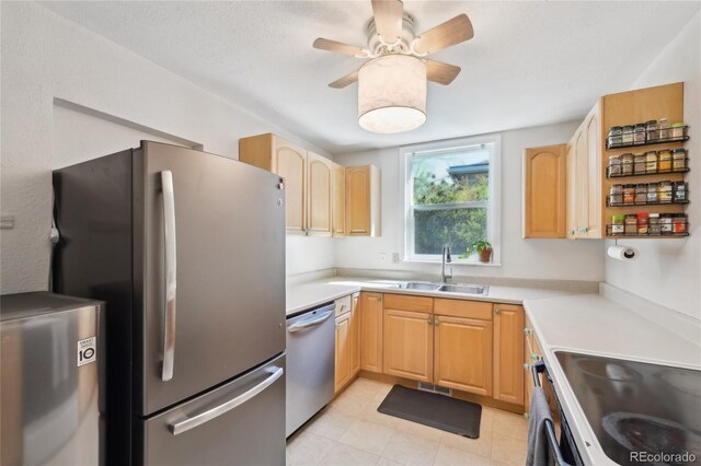 422 Atwood St, Longmont, CO 80501 - photo 8