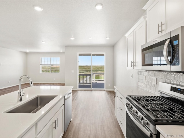 9069 Pitkin St, Commerce City, CO 80022 - kitchen with stainless steel appliances, a sink, light wood finished floors, open floor plan, and light countertops