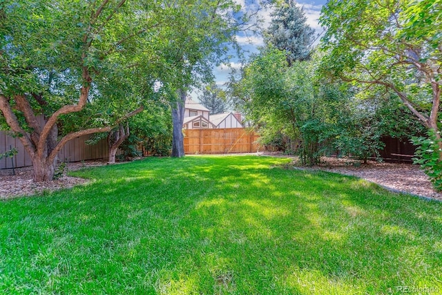 6330 E Vassar Ave, Denver, CO 80222 - view of fenced backyard