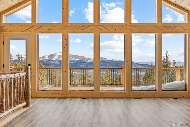 doorway to outside featuring a mountain view, a wealth of natural light, and high vaulted ceiling