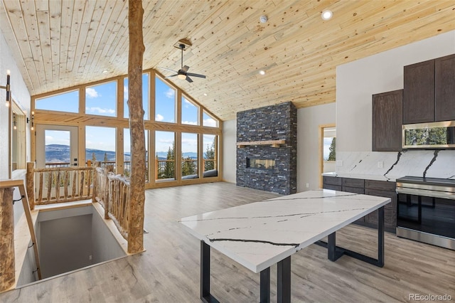 kitchen featuring a multi sided fireplace, stainless steel appliances, a mountain view, dark brown cabinets, and light wood-type flooring