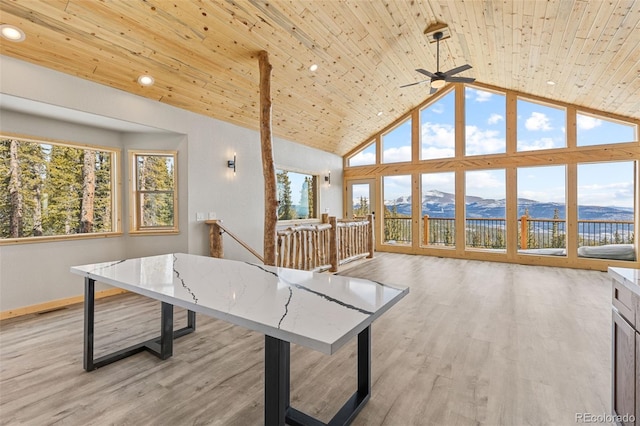 rec room featuring wood ceiling, a mountain view, and light wood-type flooring