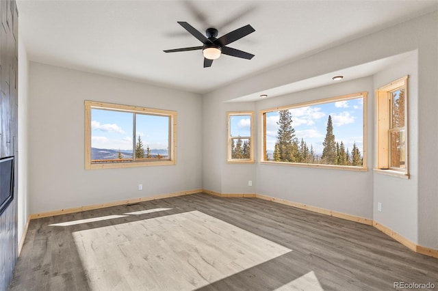 spare room featuring ceiling fan and dark hardwood / wood-style flooring