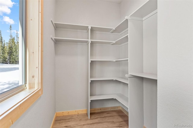 walk in closet with light wood-type flooring