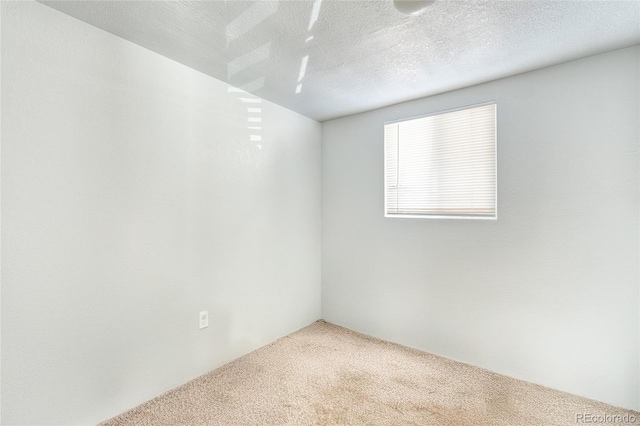 empty room featuring carpet flooring and a textured ceiling