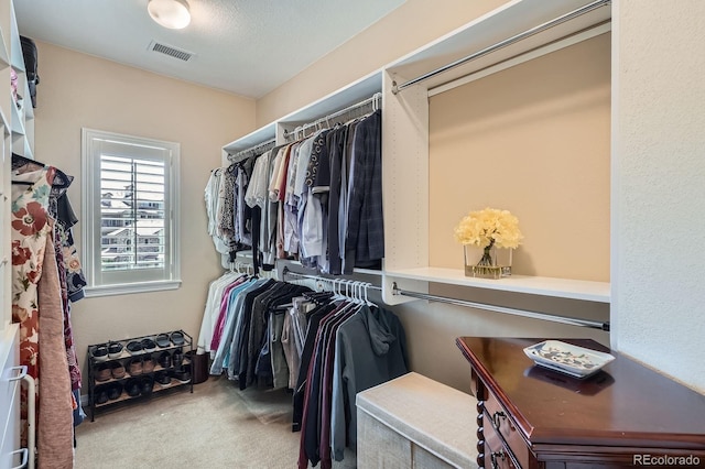 3181 Firenze Pl, Highlands Ranch, CO 80126 - walk in closet featuring carpet