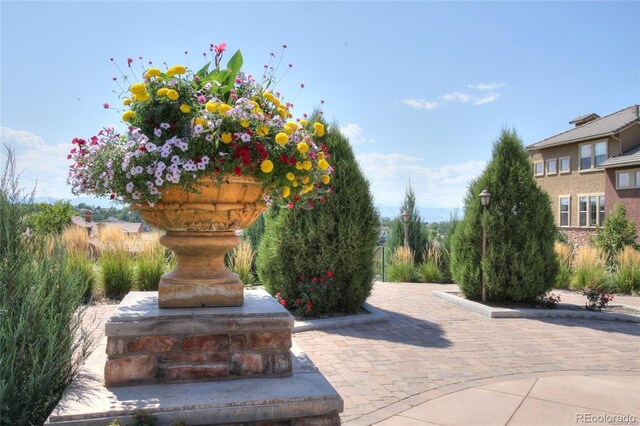 3181 Firenze Pl, Highlands Ranch, CO 80126 - view of home's community
