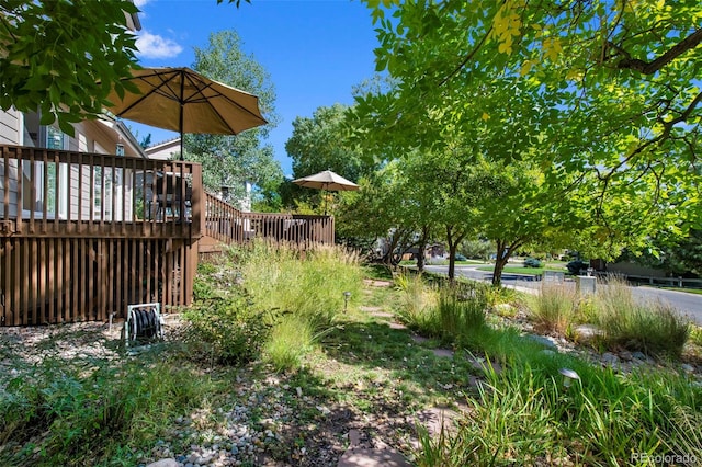 view of yard with a deck