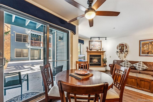 dining space featuring wood-type flooring and ceiling fan