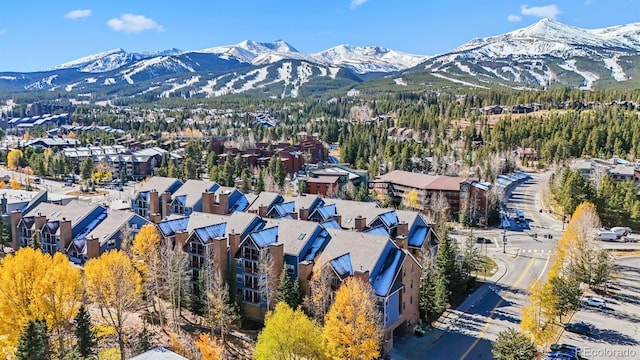 drone / aerial view featuring a mountain view