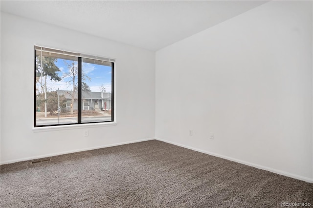 empty room featuring carpet