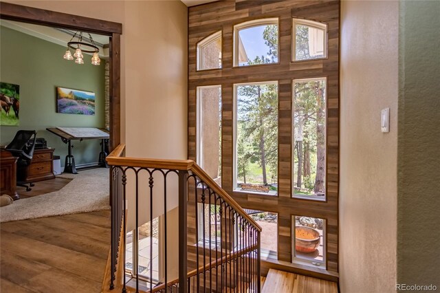 18383 Lazy Summer Way, Monument, CO 80132 - photo 7