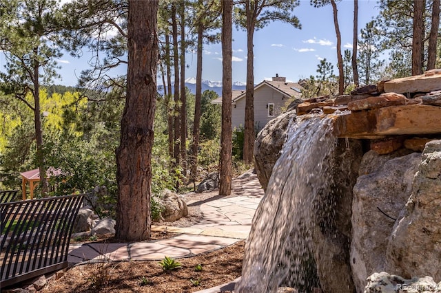 18383 Lazy Summer Way, Monument, CO 80132 - photo 45
