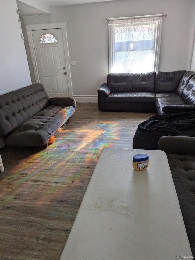 living room with dark hardwood / wood-style flooring