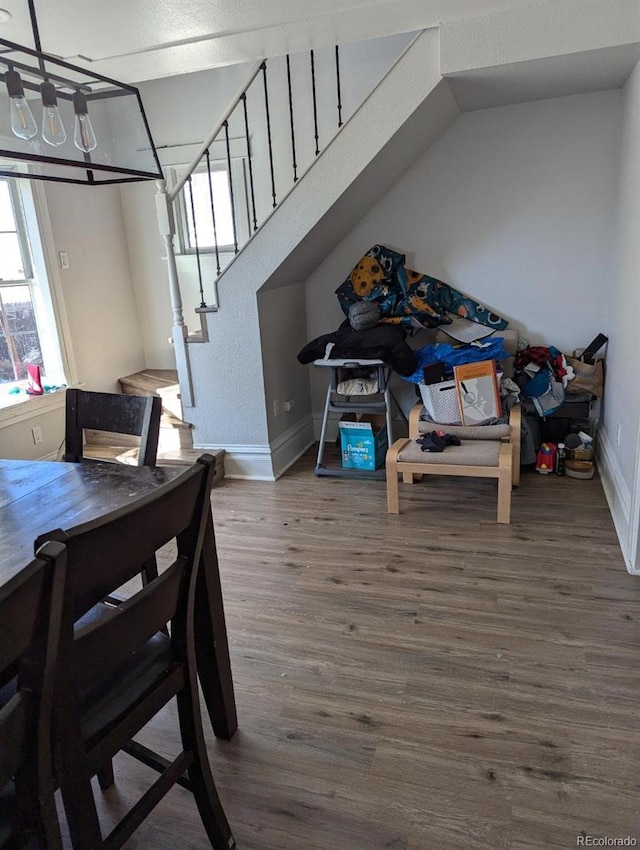 dining area with hardwood / wood-style flooring