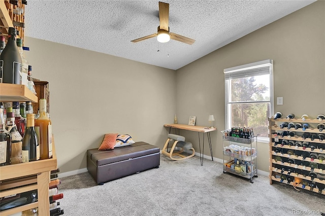84 Crest View Dr, Black Hawk, CO 80422 - photo 13