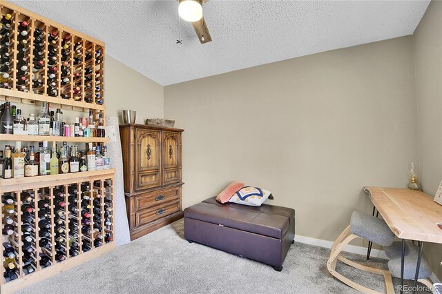 84 Crest View Dr, Black Hawk, CO 80422 - photo 14
