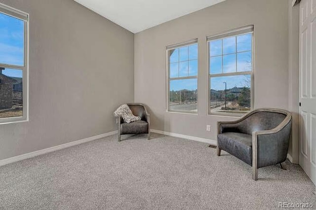 unfurnished room with baseboards and carpet floors