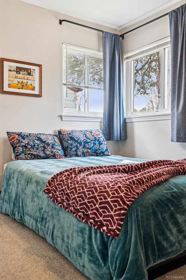 bedroom with carpet flooring and multiple windows