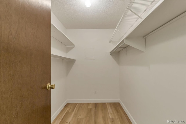 13606 E Bates Ave Unit 304, Aurora, CO 80014 - walk in closet featuring light wood-style flooring