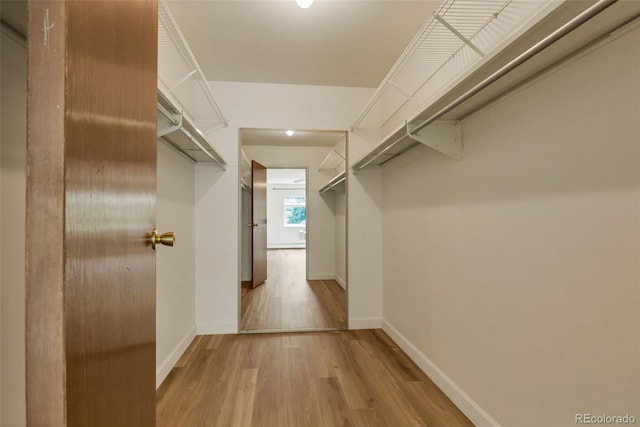 13606 E Bates Ave Unit 304, Aurora, CO 80014 - walk in closet with wood finished floors
