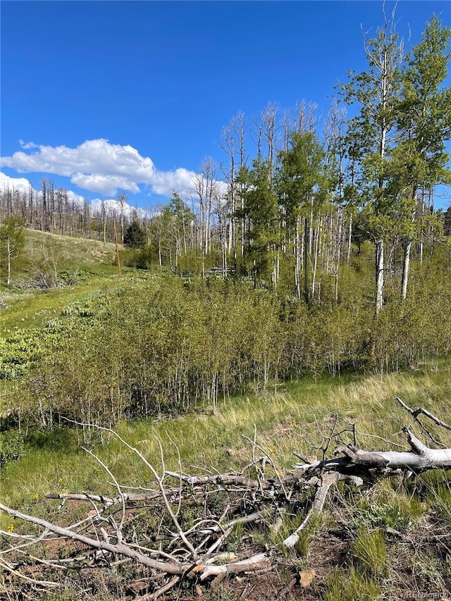 954 Forbes Park Rd, Fort Garland, CO 81133