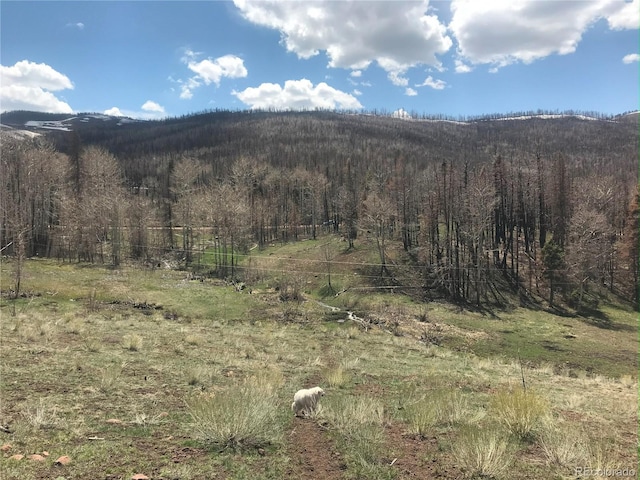 954 Forbes Park Rd, Fort Garland, CO 81133