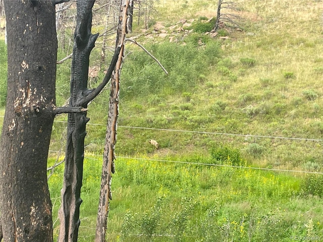954 Forbes Park Rd, Fort Garland, CO 81133