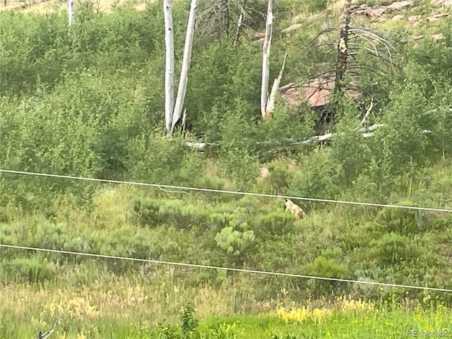 954 Forbes Park Rd, Fort Garland, CO 81133