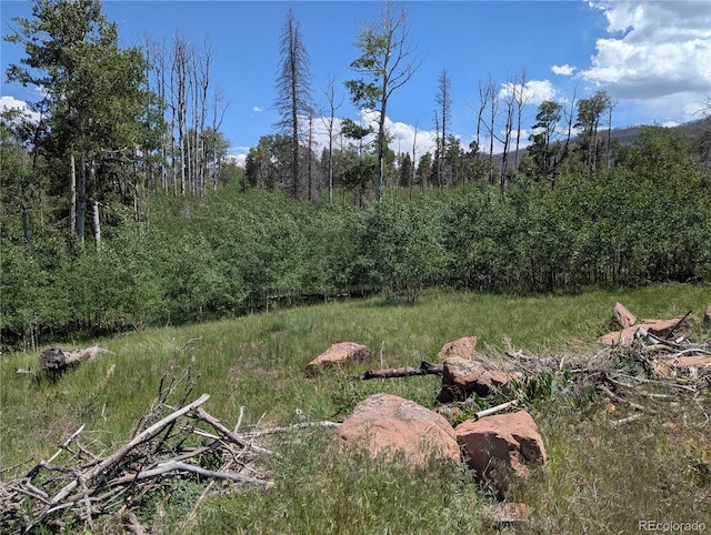 954 Forbes Park Rd, Fort Garland, CO 81133