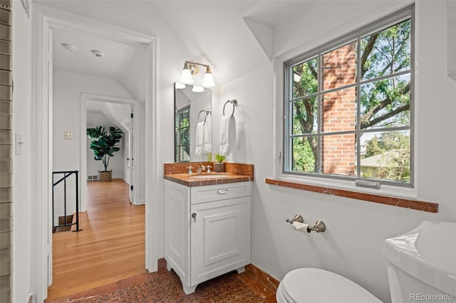 bathroom featuring hardwood / wood-style flooring, vanity, and toilet