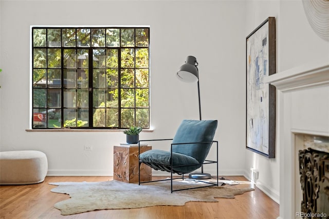 sitting room with hardwood / wood-style flooring and plenty of natural light