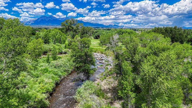 1128 Little River Ln, Poncha Springs, CO 81242 - photo 8