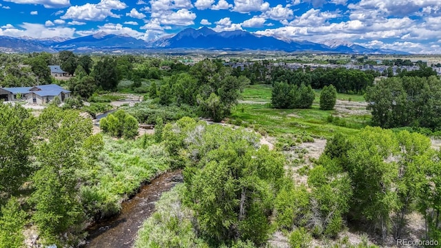 1128 Little River Ln, Poncha Springs, CO 81242 - photo 24