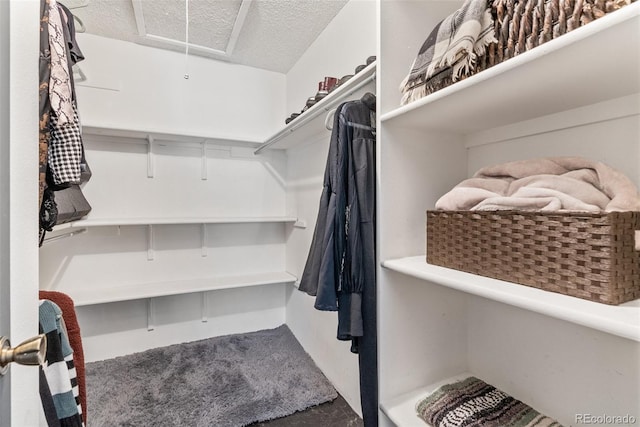 spacious closet with attic access