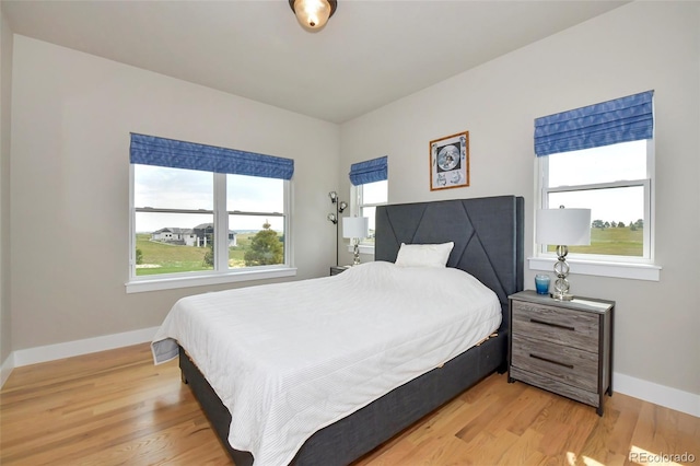 bedroom featuring multiple windows and hardwood / wood-style floors